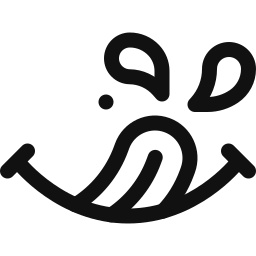 The Raj Image